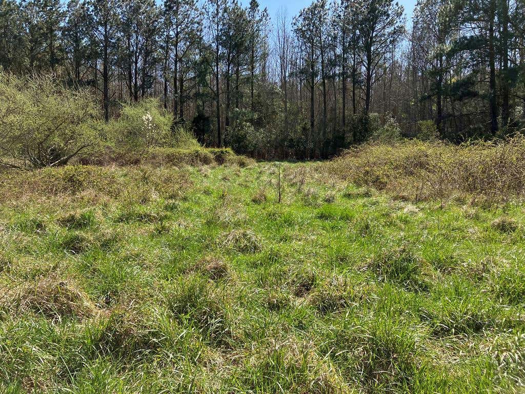 LOT 22 BLUE HERON LN, ACCOMAC, VA 23301, photo 1 of 17