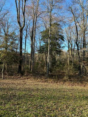 LOT 121 WOLFRIDGE LANE, HORNTOWN, VA 23395 - Image 1