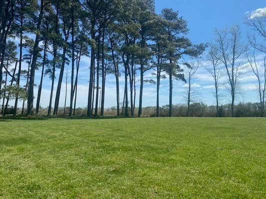 LOT 43 FIGGS CIRCLE, PARKSLEY, VA 23421 - Image 1