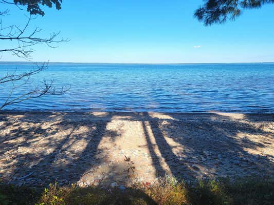 4603 S BAY MILLS POINT RD, BRIMLEY, MI 49715 - Image 1