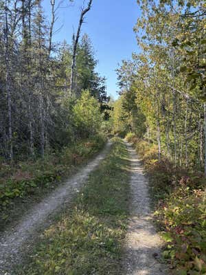 TBD W M-134 HWY, HESSEL, MI 49745, photo 2 of 11