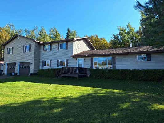 10383 W IRISH LINE RD, BRIMLEY, MI 49715 - Image 1