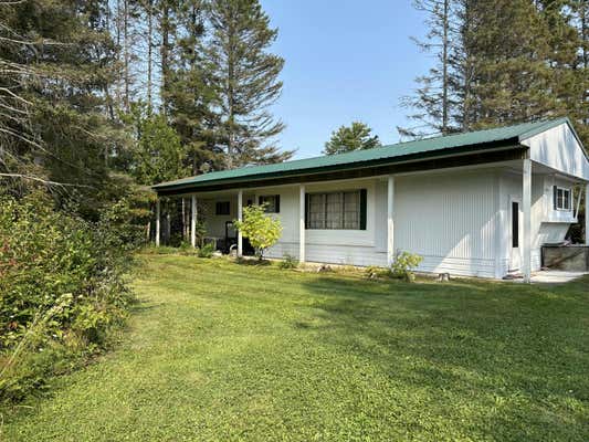 7219 S FORREST SIDE RD, BRIMLEY, MI 49715 - Image 1