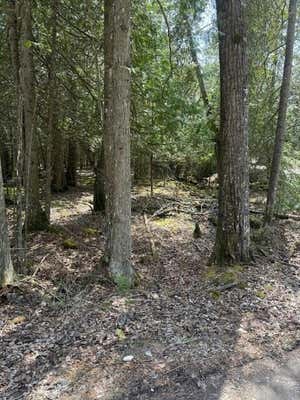 1.09AC STONEY POINT RD, HESSEL, MI 49745 - Image 1