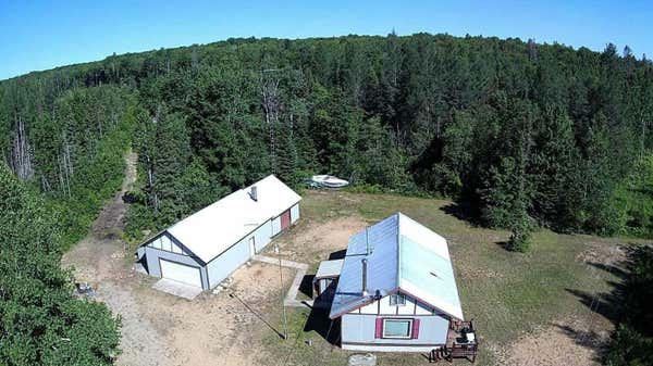 9976 S SALT POINT RD, ECKERMAN, MI 49728 - Image 1