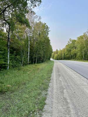 0 CO RD 407, NEWBERRY, MI 49868 - Image 1