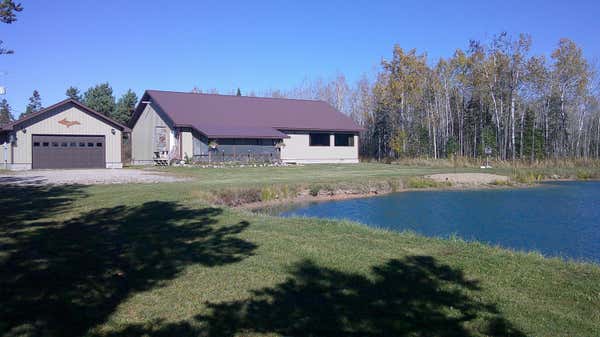 22249 S PEFFERS RD, RUDYARD, MI 49780 - Image 1