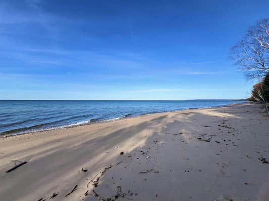 17848 W LAKESHORE DR, BRIMLEY, MI 49715 - Image 1