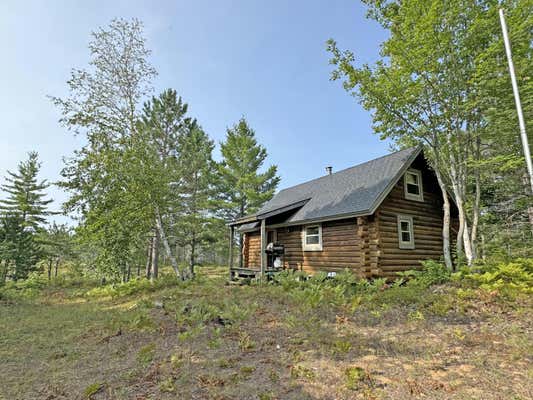 9007 SWAMP LAKES RD, NEWBERRY, MI 49868 - Image 1