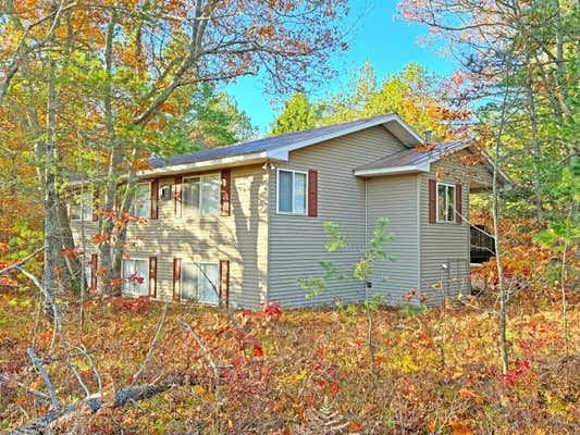 13363 N WHITEFISH POINT RD, PARADISE, MI 49768 - Image 1