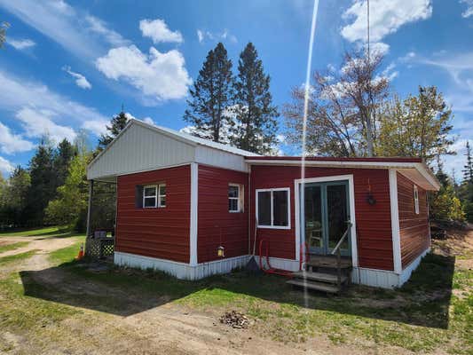 10680 S SALT POINT RD, ECKERMAN, MI 49728 - Image 1