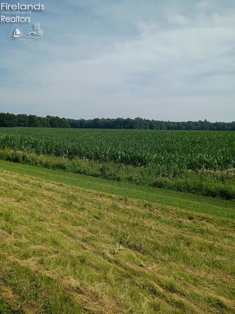 New London, Ohio, 44851, United States, 4 Bedrooms Bedrooms, ,3 BathroomsBathrooms,Residential,Active,1922748