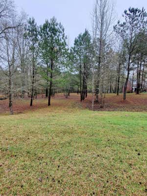 0 N. POINT COURT, TIGNALL, GA 30668, photo 2 of 8