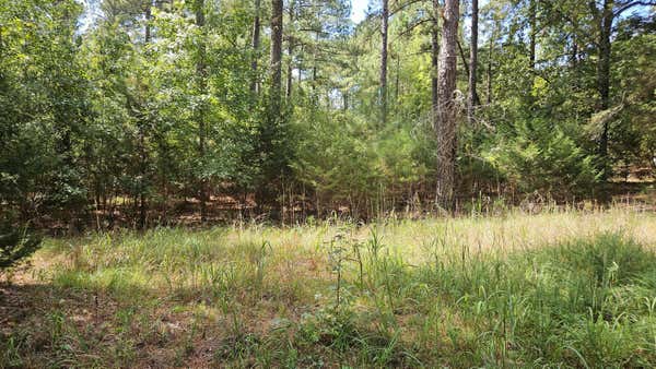 0 DOUBLE BRANCHES, LINCOLNTON, GA 30817 - Image 1