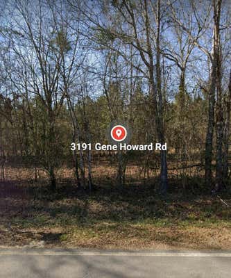 3191 GENE HOWARD RD, STAPLETON, GA 30823 - Image 1