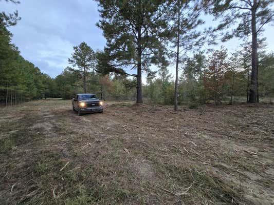 TBD SHAD ROAD, WILLISTON, SC 29853 - Image 1