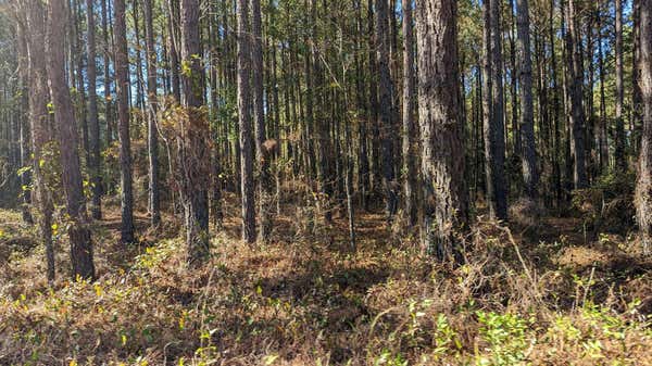 541 BENT KNEE RD, KEYSVILLE, GA 30816 - Image 1