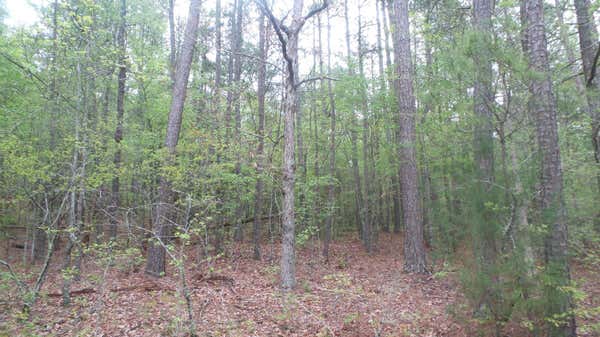 0 LBK ROAD, TIGNALL, GA 30668 - Image 1