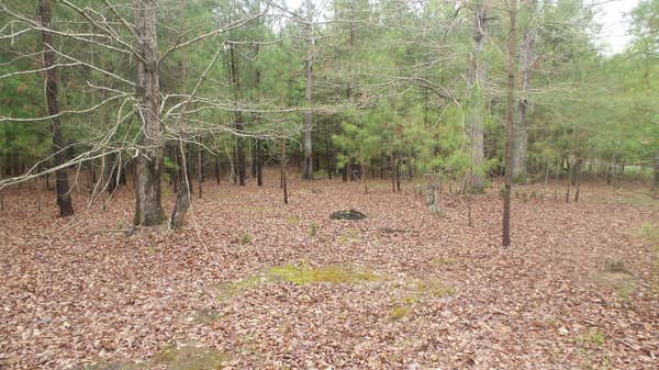 13 FOREST LAKE DR DRIVE, LINCOLNTON, GA 30817 - Image 1