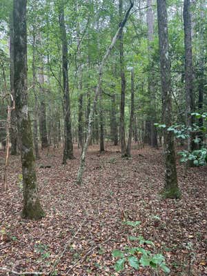 0 HWY 80, GIBSON, GA 30810 - Image 1