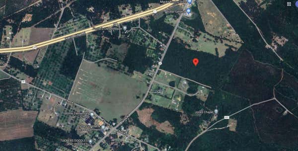 3442 STATE HIGHWAY 88, BLYTHE, GA 30805 - Image 1