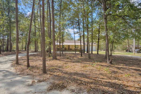 4160 CHIWEENIE TRAIL, WINDSOR, SC 29856 - Image 1