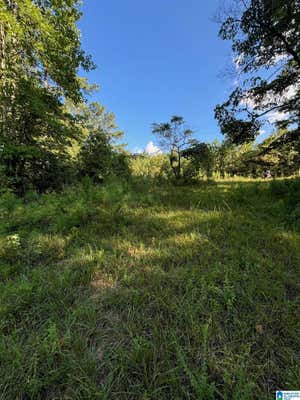 223 48TH WEST RD LOT 35, LINEVILLE, AL 36266 - Image 1