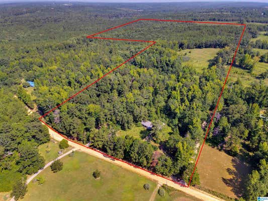 2164 COUNTY ROAD 350, CLANTON, AL 35045 - Image 1