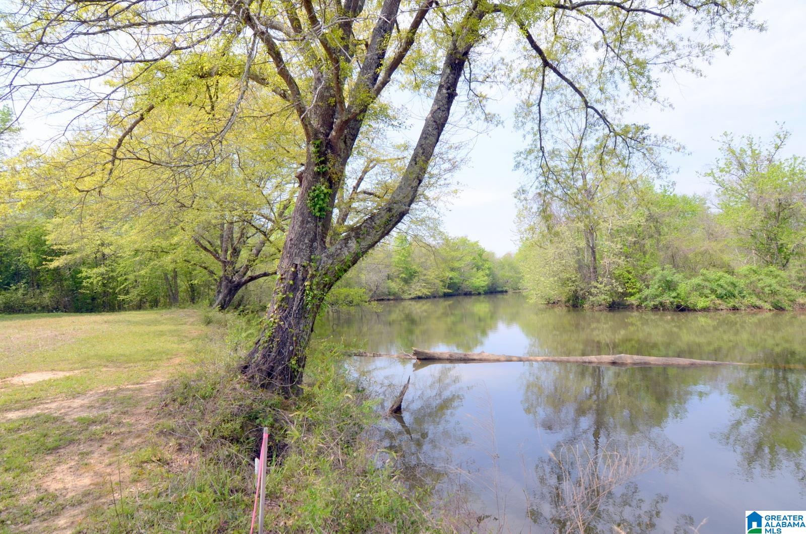 Wilsonville, Alabama, 35186, United States, ,3 BathroomsBathrooms,Residential,Contingent,1702998