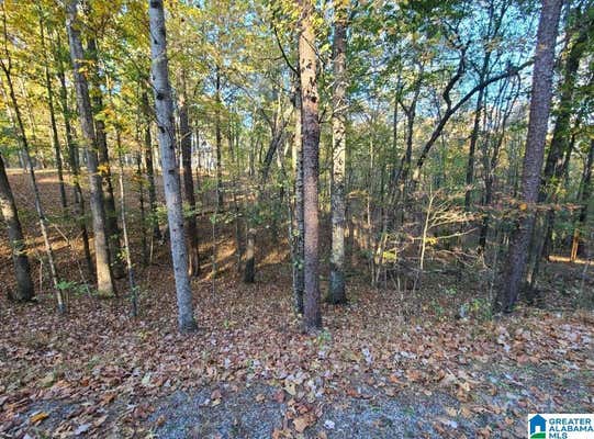 0 KENNEDY DRIVE LOT # 14, ONEONTA, AL 35121, photo 4 of 8