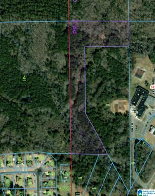 00 HOMESTEAD DRIVE # 0, CROPWELL, AL 35054 - Image 1