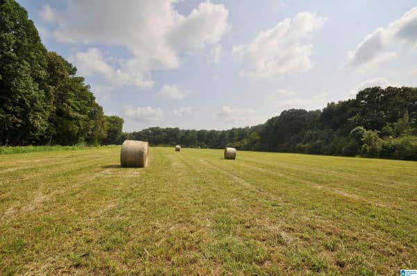 13 ACRES COUNTY ROAD 1549 # 13 ACRES, EVA, AL 35058, photo 4 of 47