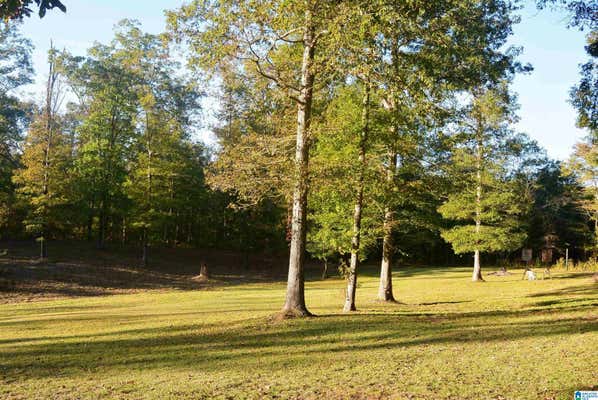 750 TURKEY RIDGE RD, RAGLAND, AL 35131, photo 4 of 33