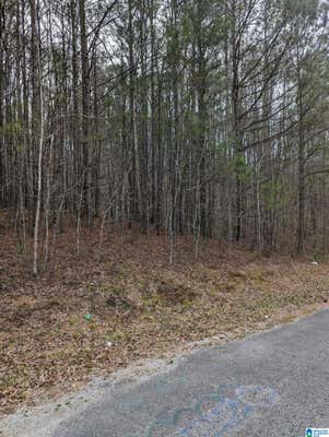 LOT 2 HENDERSON ROAD # 24/25/26, ODENVILLE, AL 35120 - Image 1