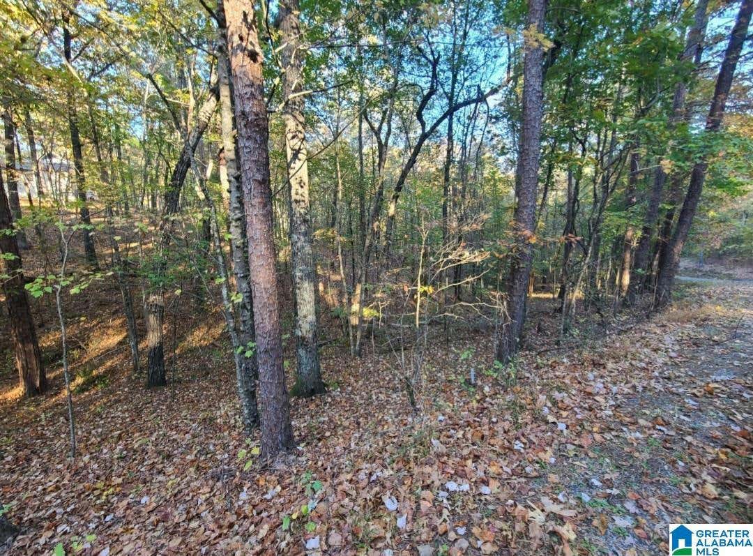 0 KENNEDY DRIVE LOT # 14, ONEONTA, AL 35121, photo 1 of 8