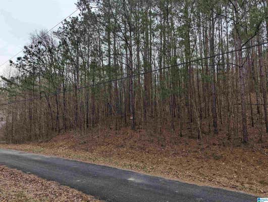 LOT 1 HENDERSON ROAD # 22/23, ODENVILLE, AL 35120 - Image 1