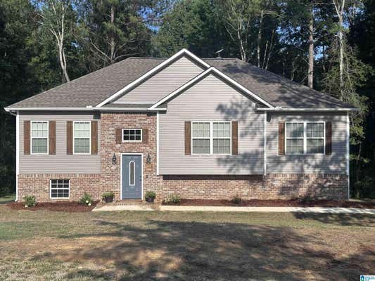 100 MOUNT VIEW RD, HAYDEN, AL 35079 - Image 1