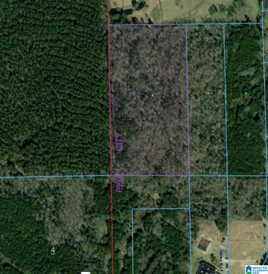 000 HOMESTEAD DRIVE # 0, CROPWELL, AL 35054 - Image 1