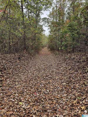 UNKN COUNTY ROAD 60 # 0, HEFLIN, AL 36264, photo 2 of 17