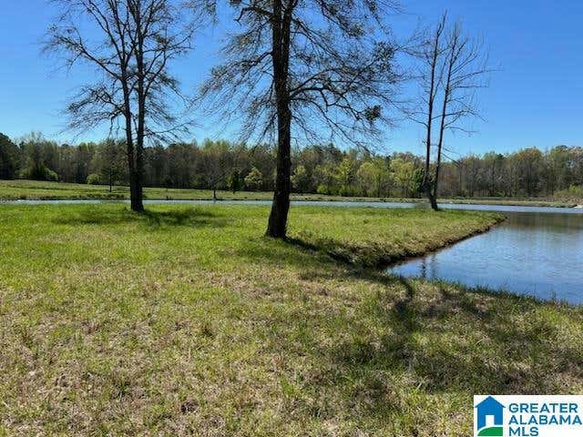 1901 LAY DAM RD, CLANTON, AL 35045, photo 1 of 10