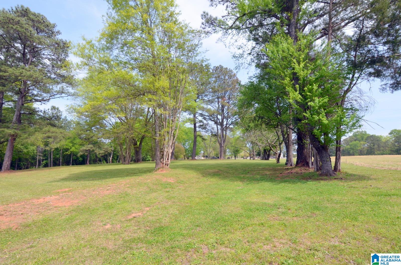 Wilsonville, Alabama, 35186, United States, ,3 BathroomsBathrooms,Residential,Contingent,1702998