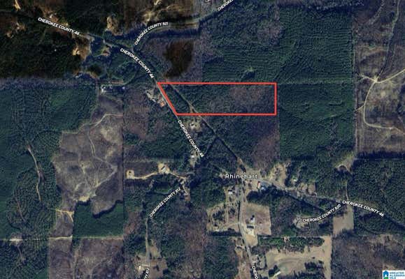 0 COUNTY ROAD 46 # 1, GAYLESVILLE, AL 35973 - Image 1