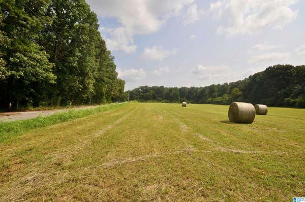 13 ACRES COUNTY ROAD 1549 # 13 ACRES, EVA, AL 35058, photo 3 of 47