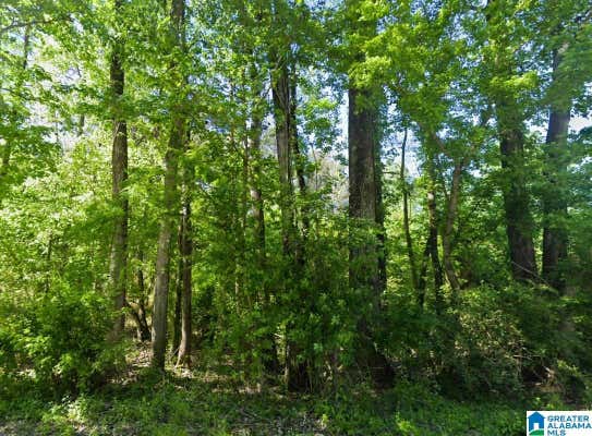 0 GLOVERS FERRY ROAD, ALPINE, AL 35014 - Image 1