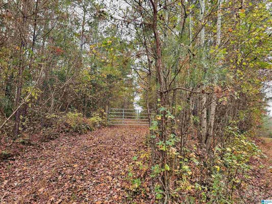 UNKN COUNTY ROAD 60 # 0, HEFLIN, AL 36264 - Image 1