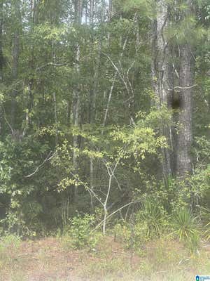 0 BOLDO ROAD # 0, CORDOVA, AL 35550 - Image 1