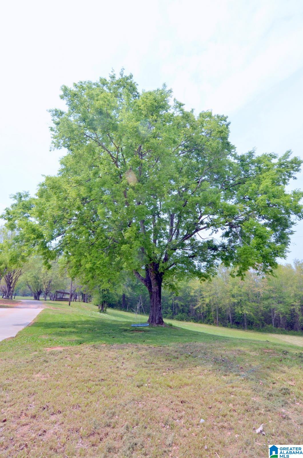 Wilsonville, Alabama, 35186, United States, ,3 BathroomsBathrooms,Residential,Contingent,1702998