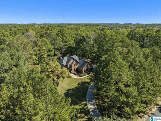 102 CAHABA FALLS LN, HELENA, AL 35080 - Image 1