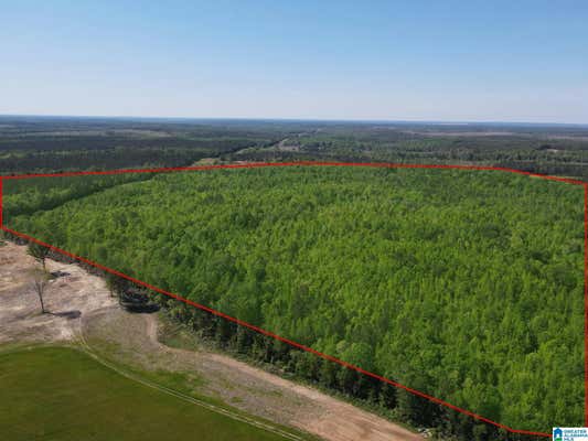 160 ACRES COUNTY ROAD 73 # 2000-3000, RANDOLPH, AL 36792 - Image 1