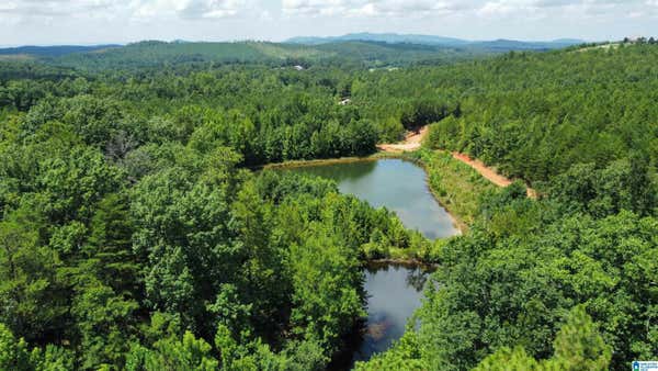 14.64 ACRES TUCK-A-WAY DRIVE # 24 & 25, PIEDMONT, AL 36272 - Image 1